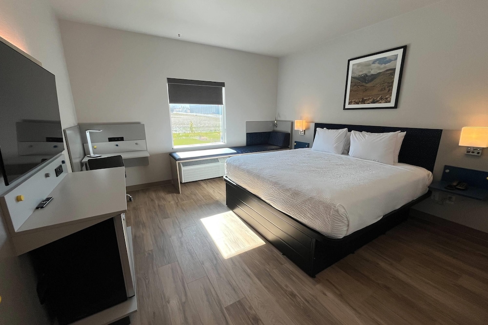 Room, 1 King Bed, Mobility Accessible, Non Smoking (Bathtub W/grab Bars)