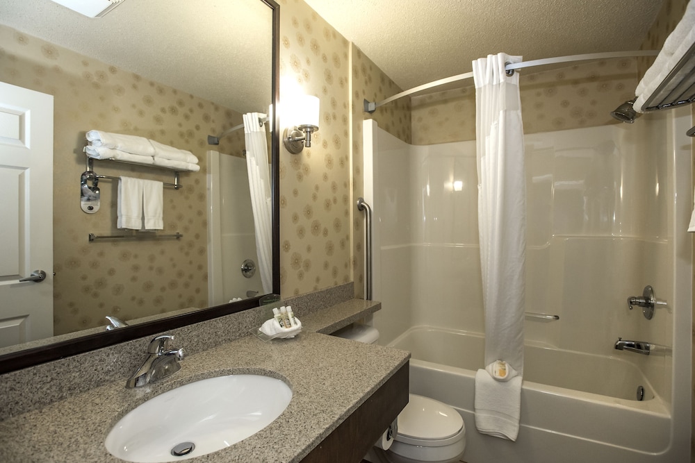 Suite, 1 Bedroom - Photo 6
