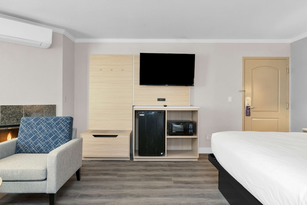 Suite, 1 King Bed, Non Smoking, Fireplace (Walk-in Shower;with Sofabed) - Photo 3