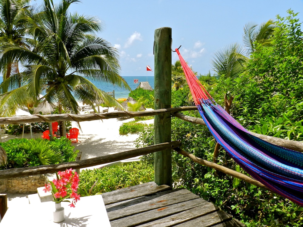 Panoramic Bungalow, Private Bathroom, Ocean View photo 2
