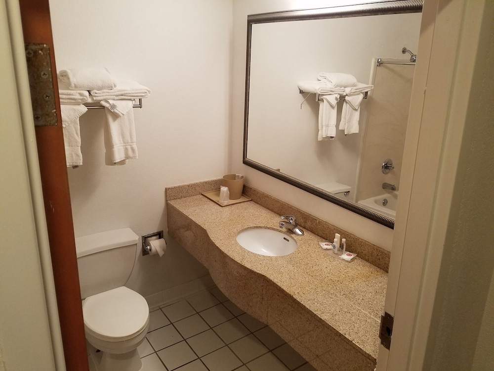 Suite, 1 King Bed, Accessible photo 3