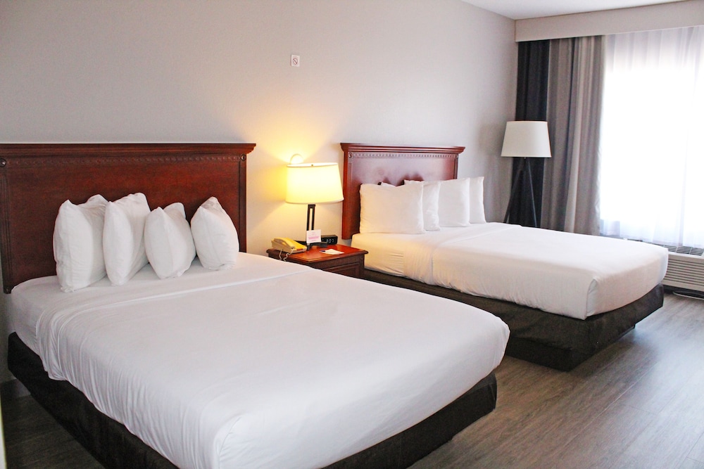 Comfort Double or Twin Room, 2 Queen Beds photo 1