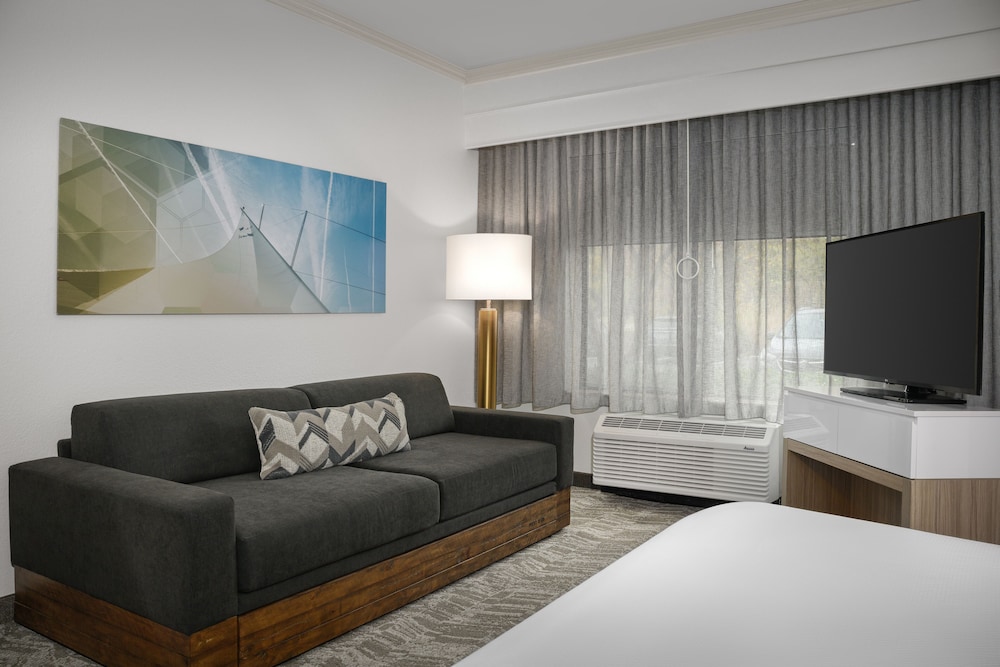 Studio, 1 King Bed with Sofa bed (Mobility Accessible, Tub) photo 3