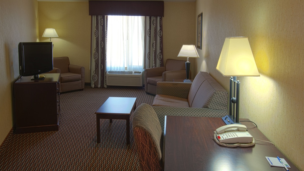 Suite, 1 King Bed (Office) - Photo 1