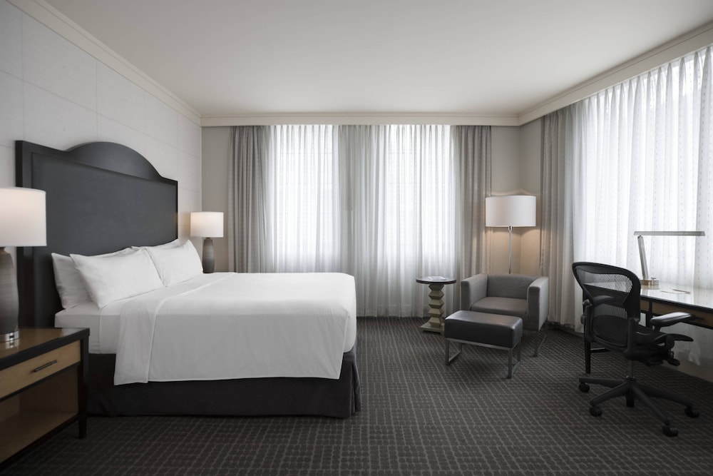 Suite - Photo 7