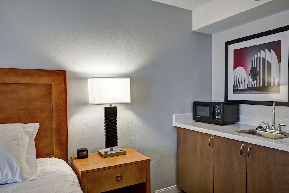 Room, 1 King Bed, Accessible, Refrigerator & Microwave (Hearing, Wet Bar) photo 2