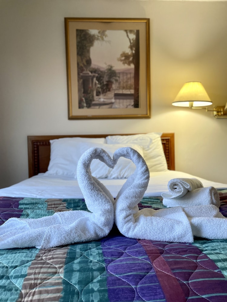Comfort Single Room, 1 King Bed photo 3