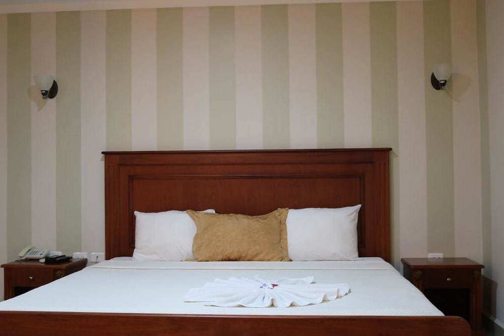 Single Room photo 1