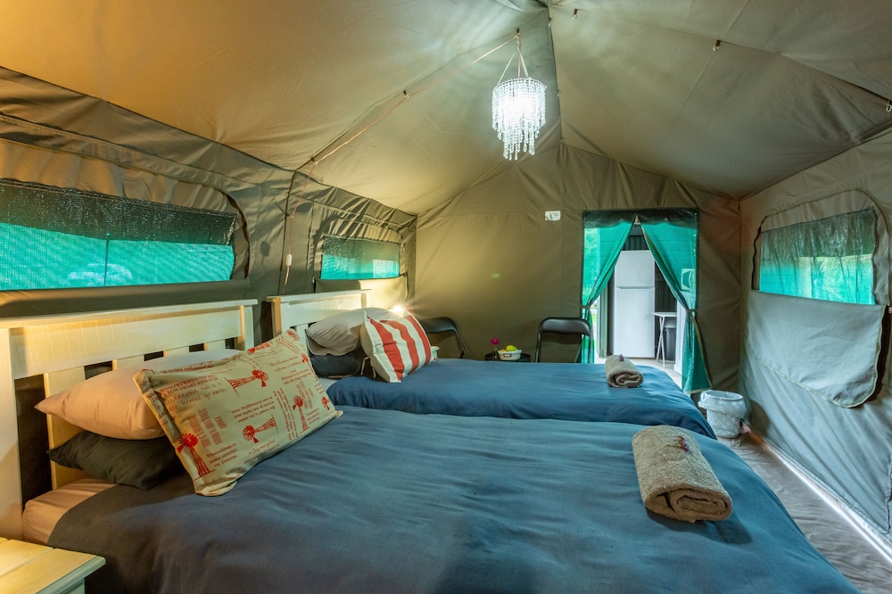 Tent (Flambojant) photo 2