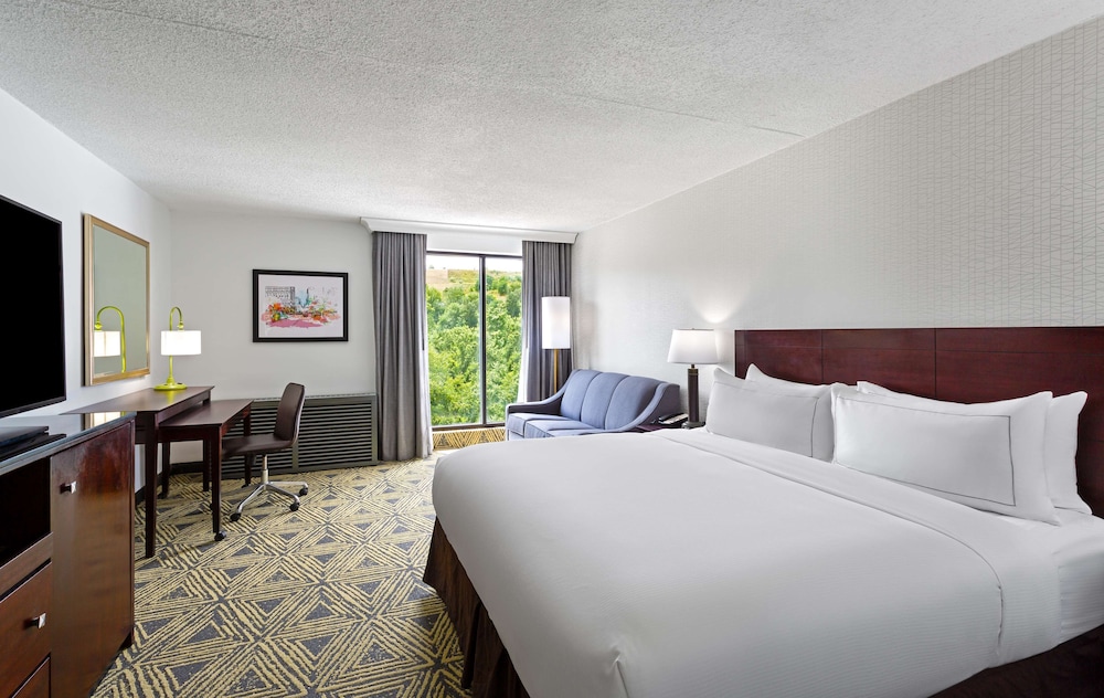 Room, 1 King Bed, Non Smoking photo 3