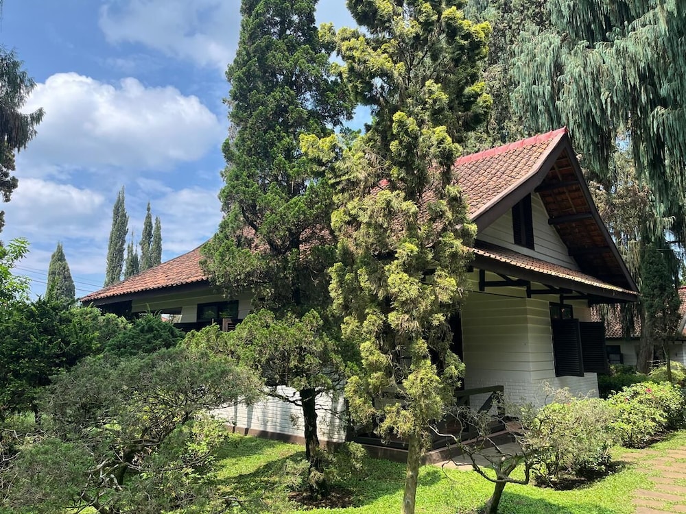 Comfort Bungalow photo 2