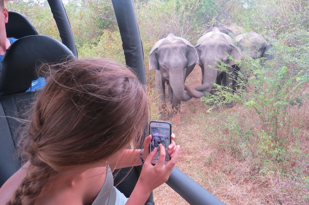 Family glamping bordering Udawalawe with guided Safari photo 3