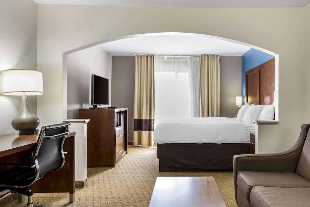 Suite, 1 King Bed, Non Smoking - Photo 9