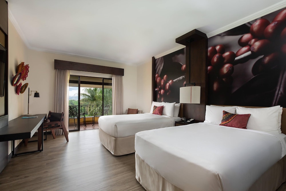 Executive Room, 2 Double Beds