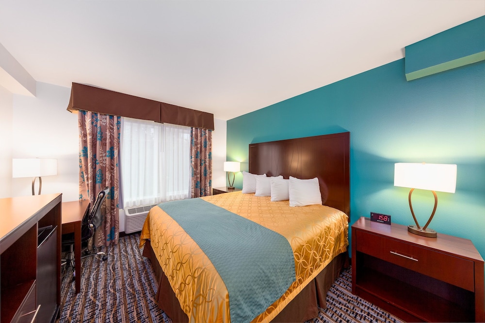 Deluxe Suite, 1 King Bed, Refrigerator & Microwave (Non Pet Friendly) - Photo 5