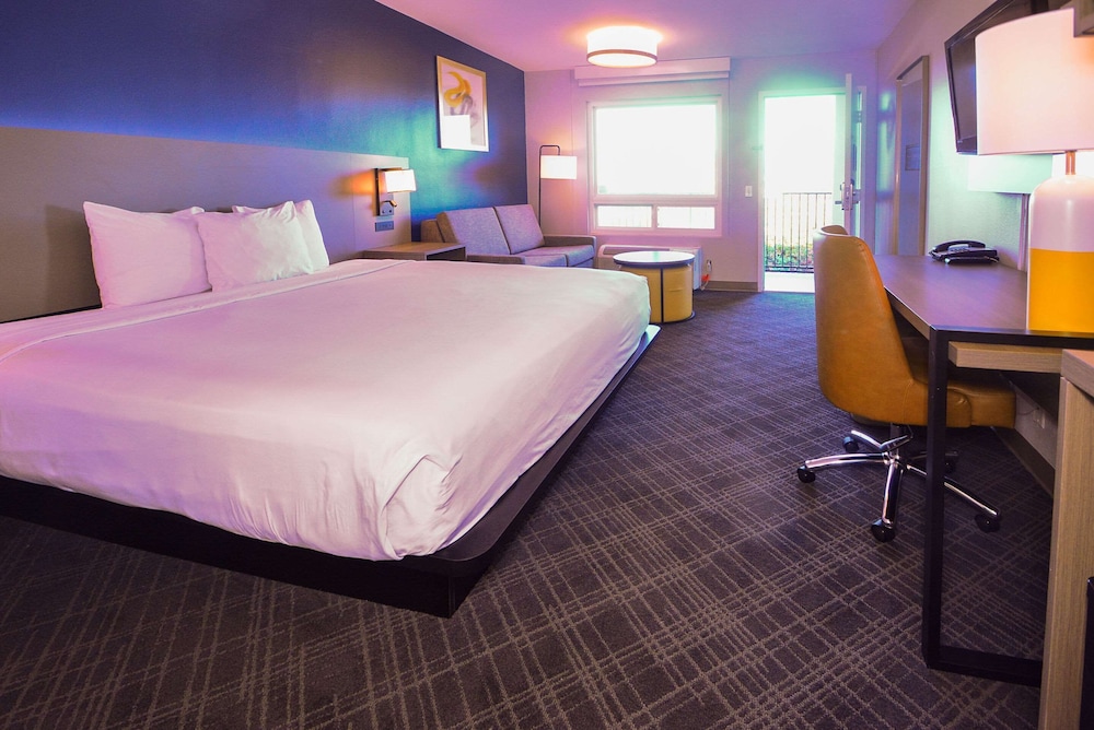 Standard Room, 1 King Bed, Accessible Roll-In Shower, Non Smoking - Photo 1