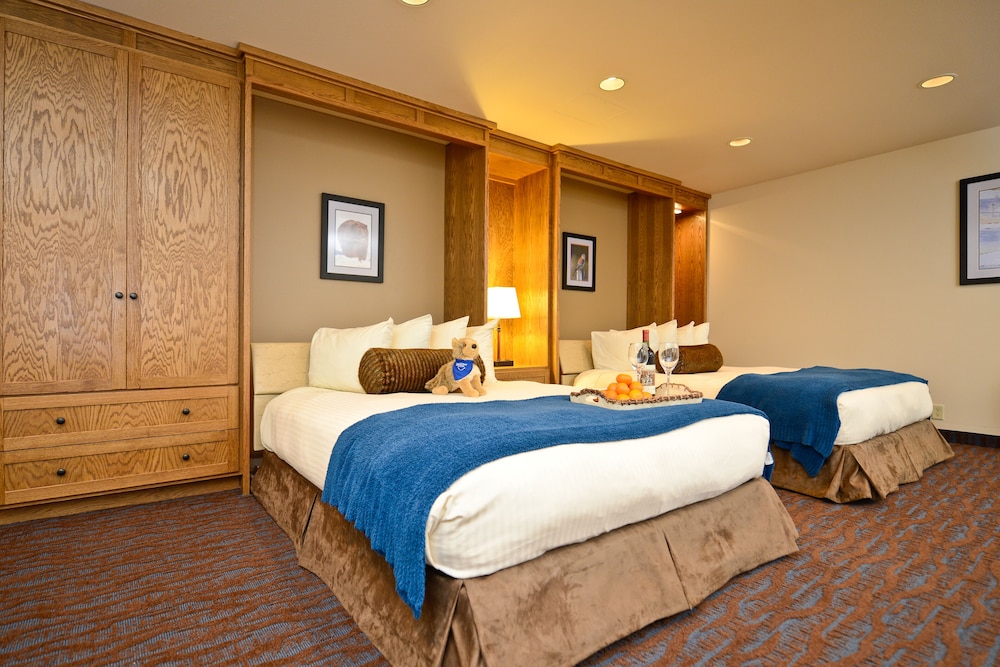 Room, Multiple Beds, Kitchen, Courtyard Area - Photo 1