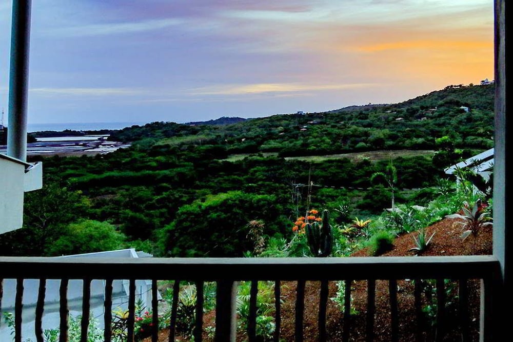 Double Queen Ocean View photo 3