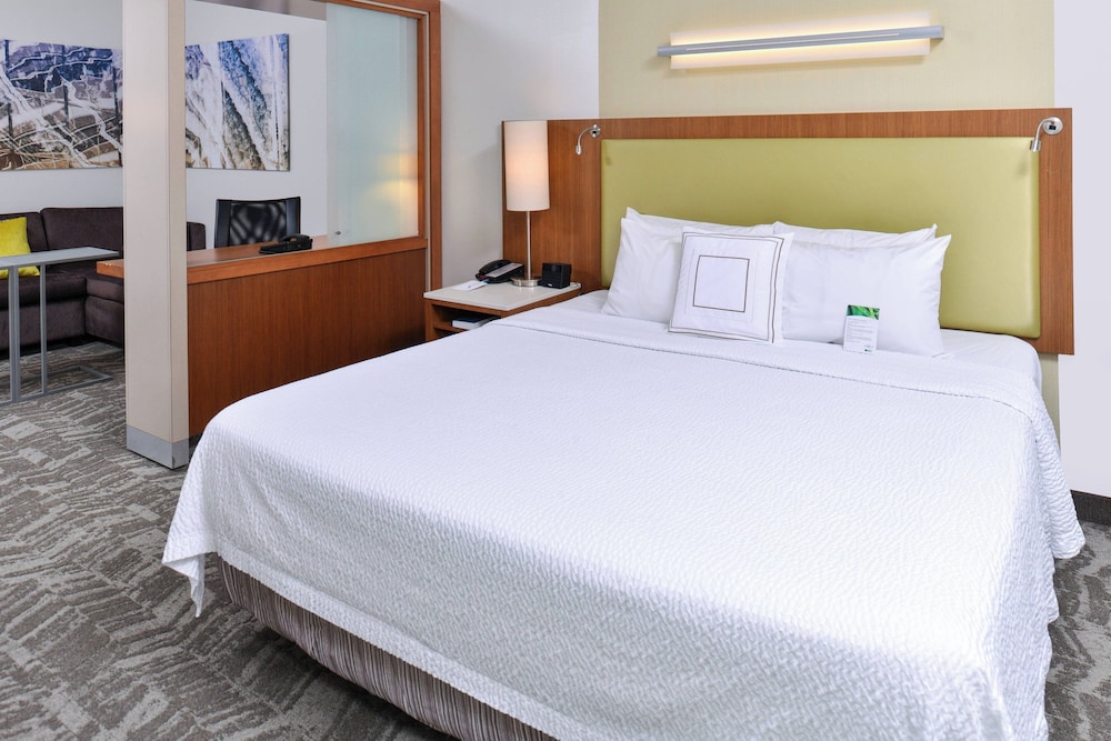 Studio, 1 King Bed with Sofa bed (Hearing Accessible)