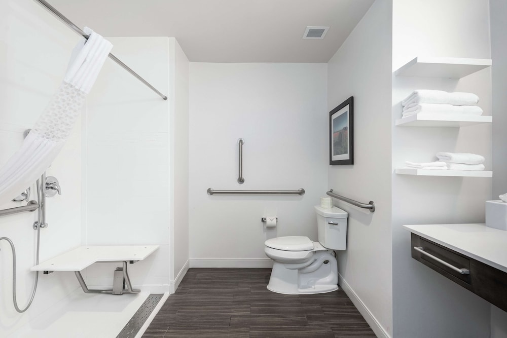 Room, 1 King Bed, Accessible (Roll In Shower)