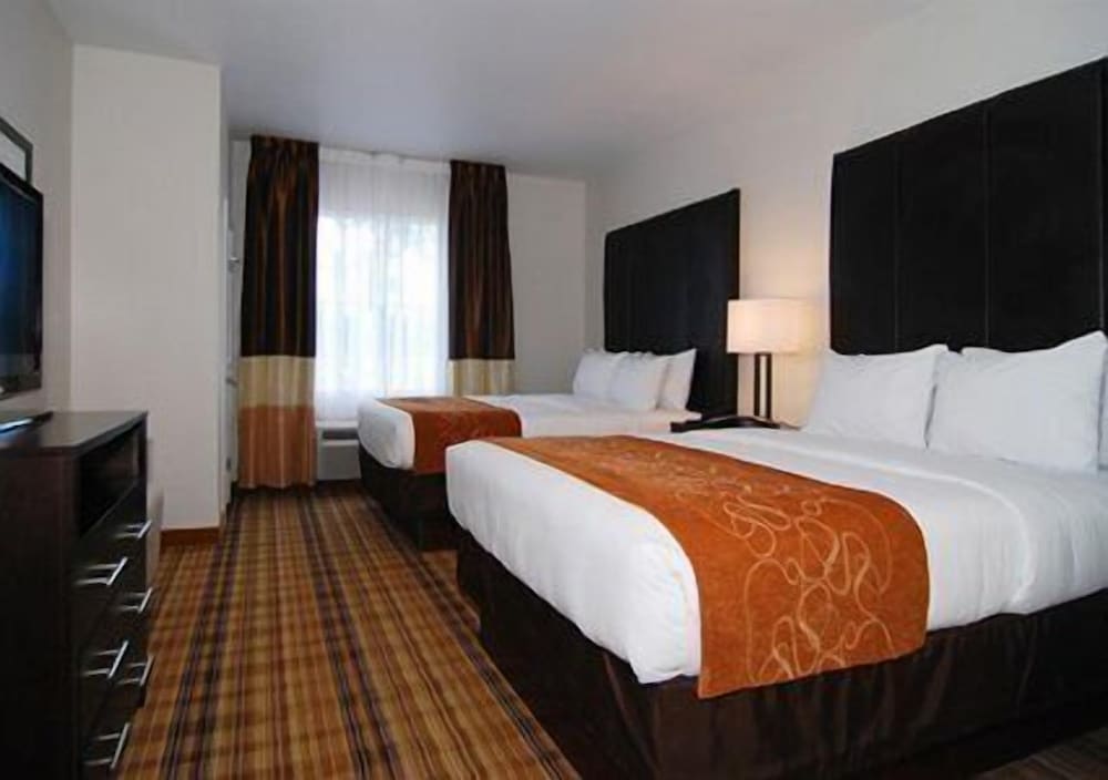 Standard Room, 2 Queen Beds photo 1