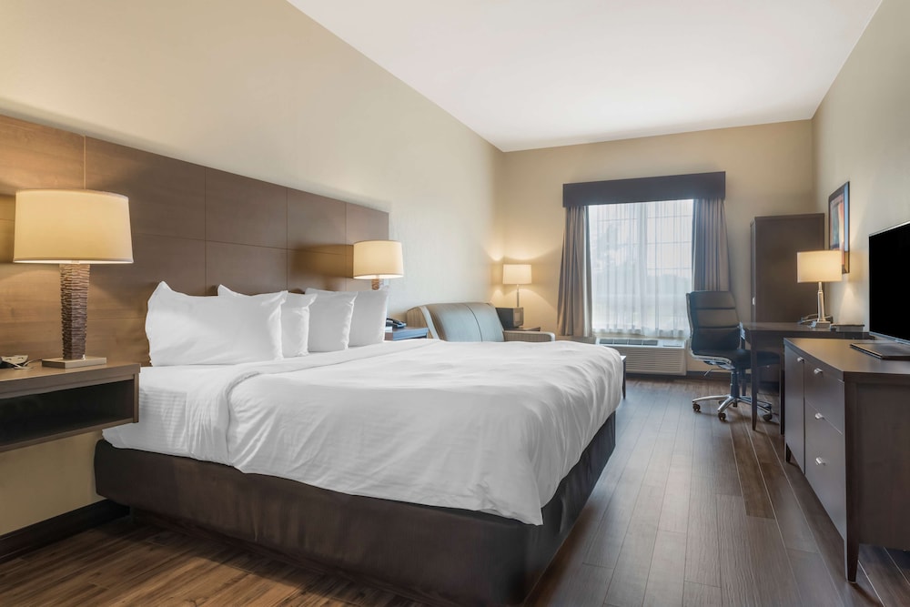 Suite, 1 King Bed, Non Smoking, Refrigerator & Microwave (with Sofabed) - Photo 2