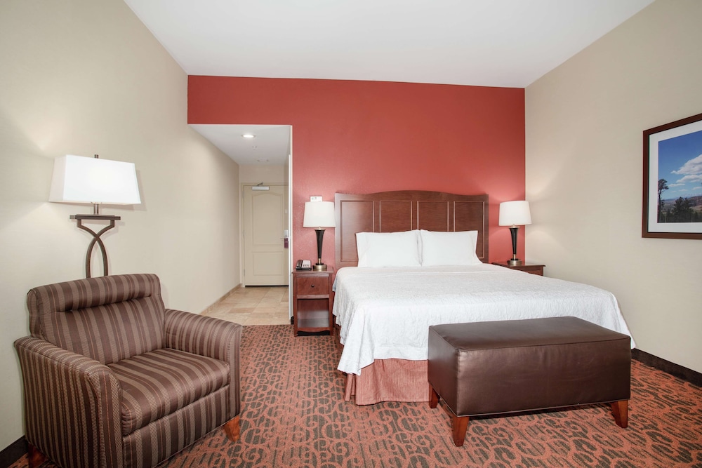 Room, 1 King Bed, Accessible photo 2