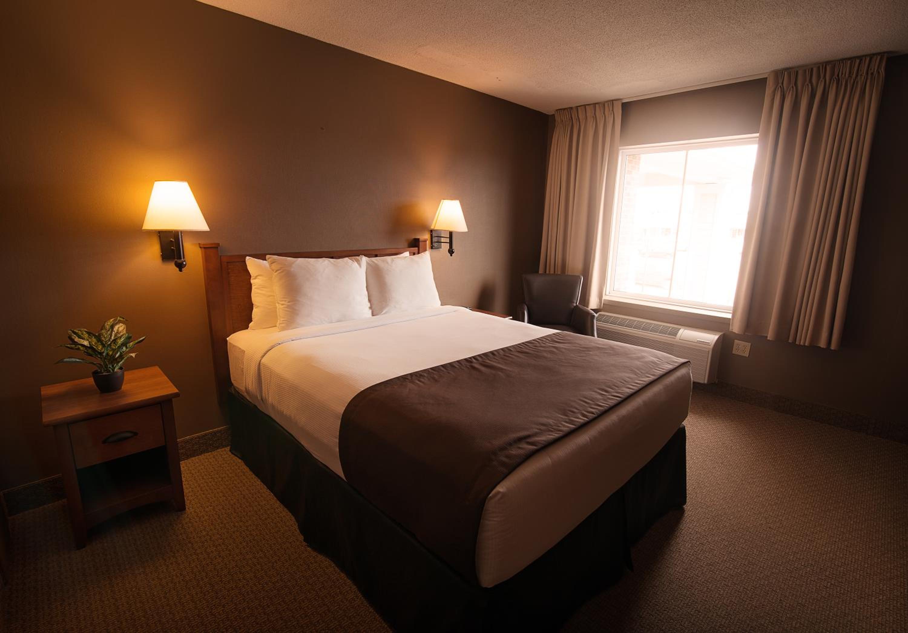 Standard Queen Room photo 1