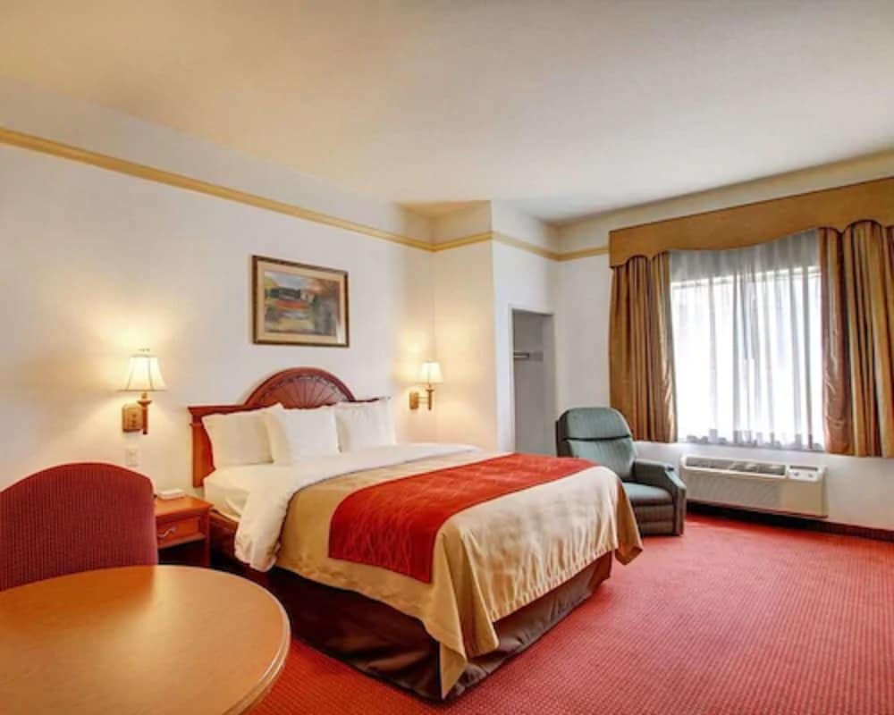 Executive Studio Suite, 1 King Bed, Non Smoking