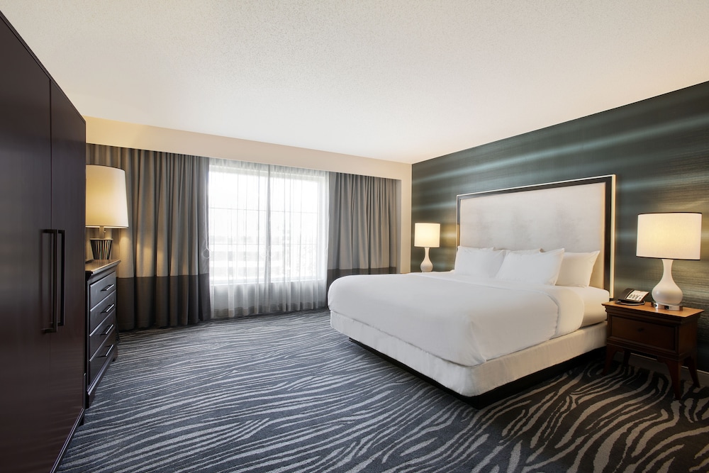 Suite, 1 King Bed, Accessible (Roll-in Shower)