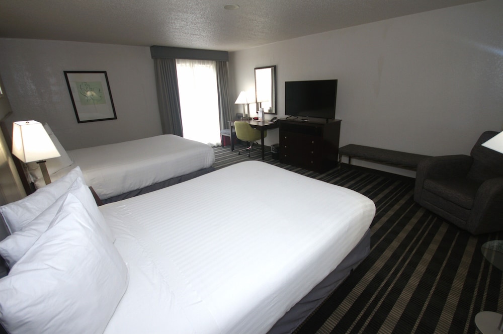 Standard Room, 2 Queen Beds, Non Smoking, Refrigerator & Microwave - Photo 5
