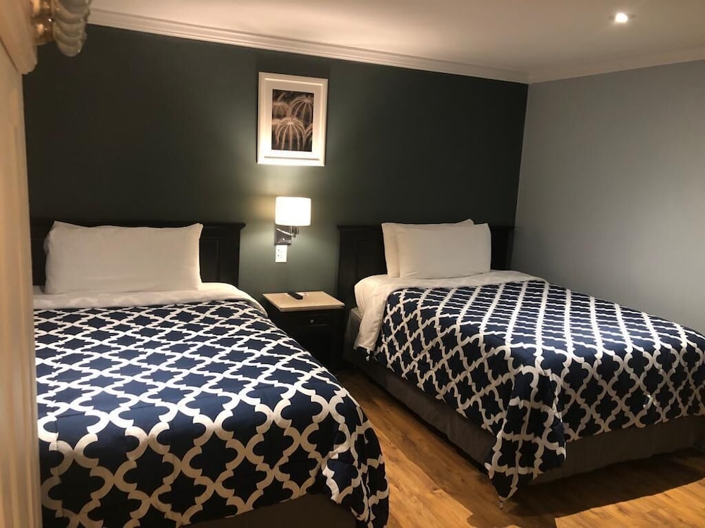 Suite photo 1