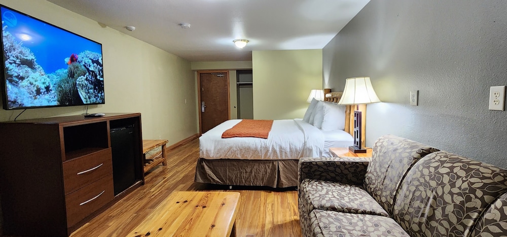 Junior Room, 1 King Bed with Sofa bed photo 3