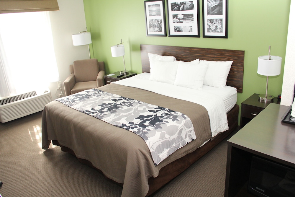Standard Room, 1 King Bed, Non Smoking - Photo 7