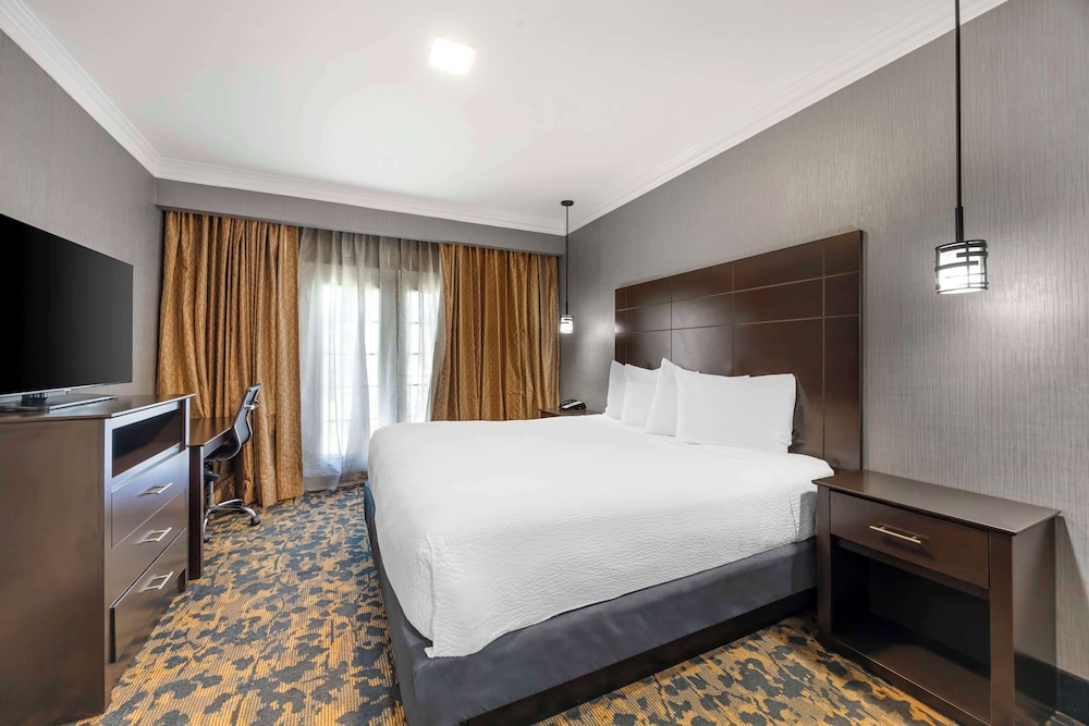 Suite, 1 King Bed, Non Smoking, Refrigerator & Microwave - Photo 4