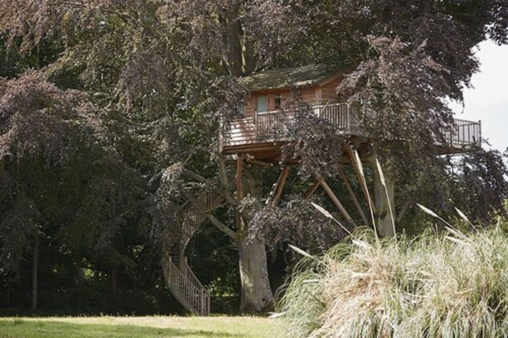 Deluxe Cabin, 1 Queen Bed, Terrace, Park View photo 2