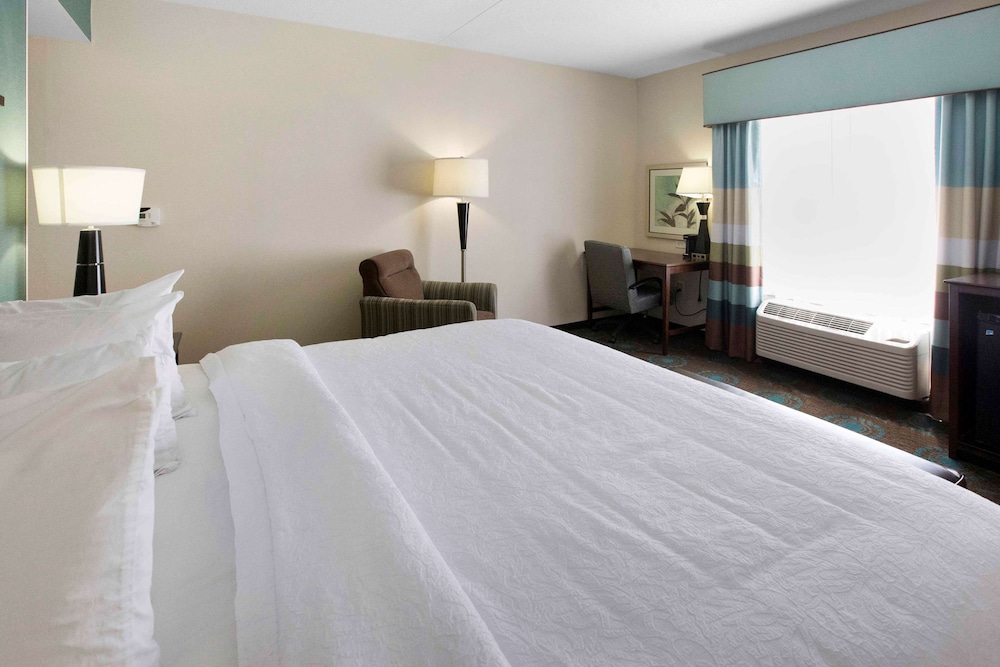 Room, 1 King Bed, Accessible photo 3