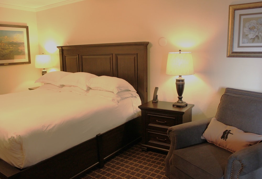 Deluxe Single Room, 1 King Bed photo 3