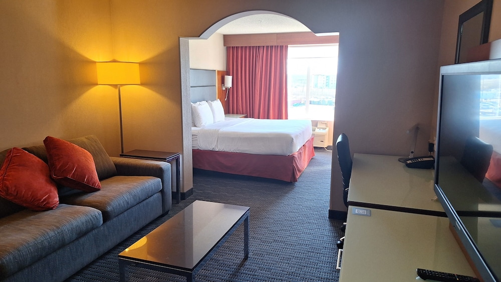 Studio Suite, 1 King Bed with Sofa bed photo 3