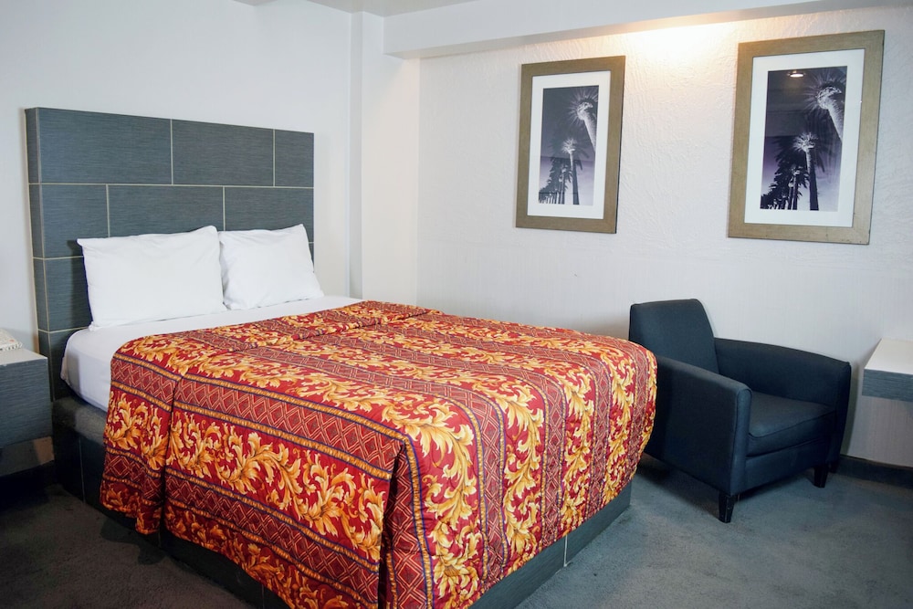 Superior Suite photo 2