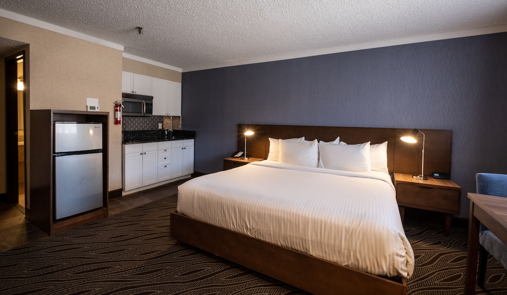 Standard Studio Suite photo 1