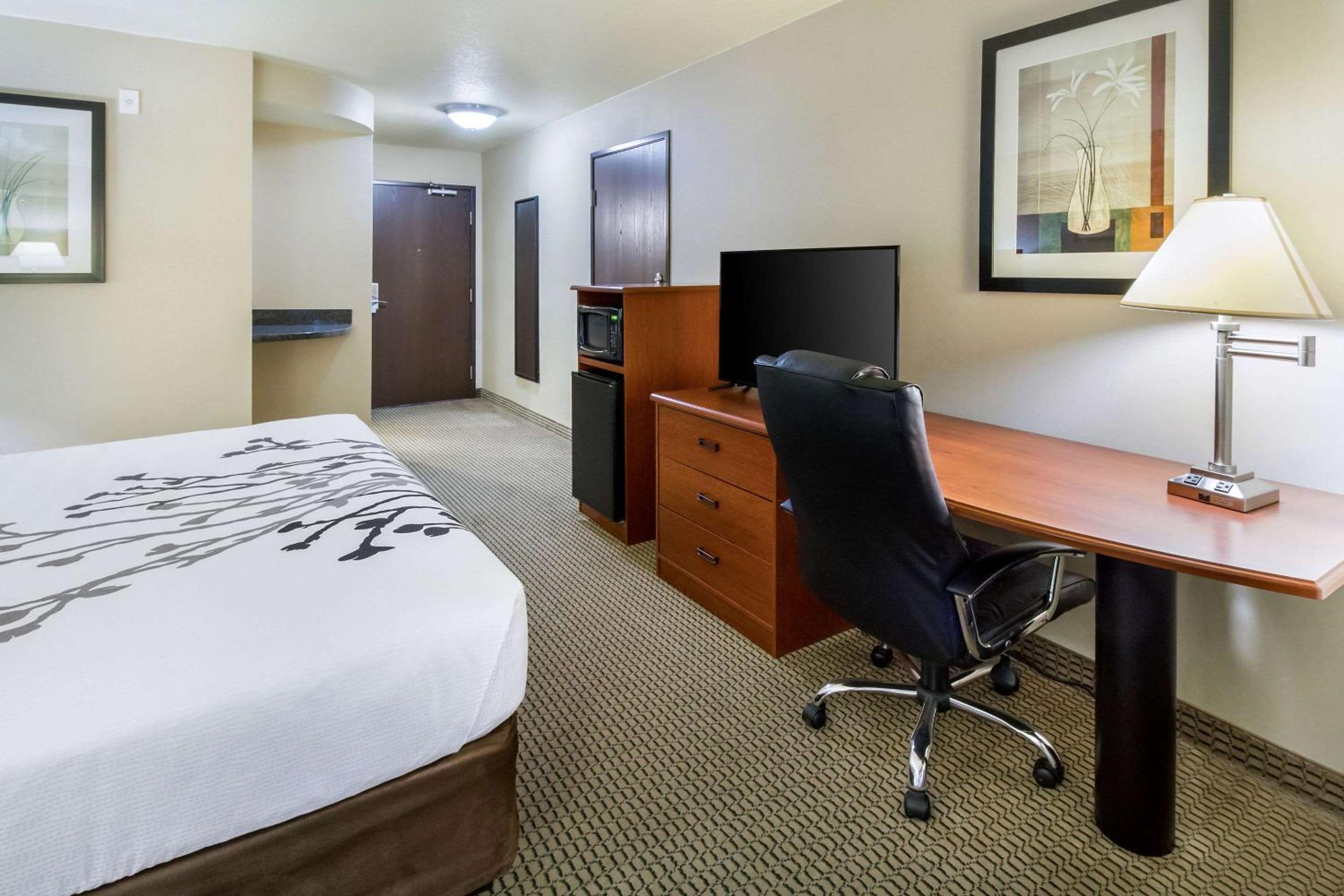 Deluxe King Room - Non-Smoking - Photo 2