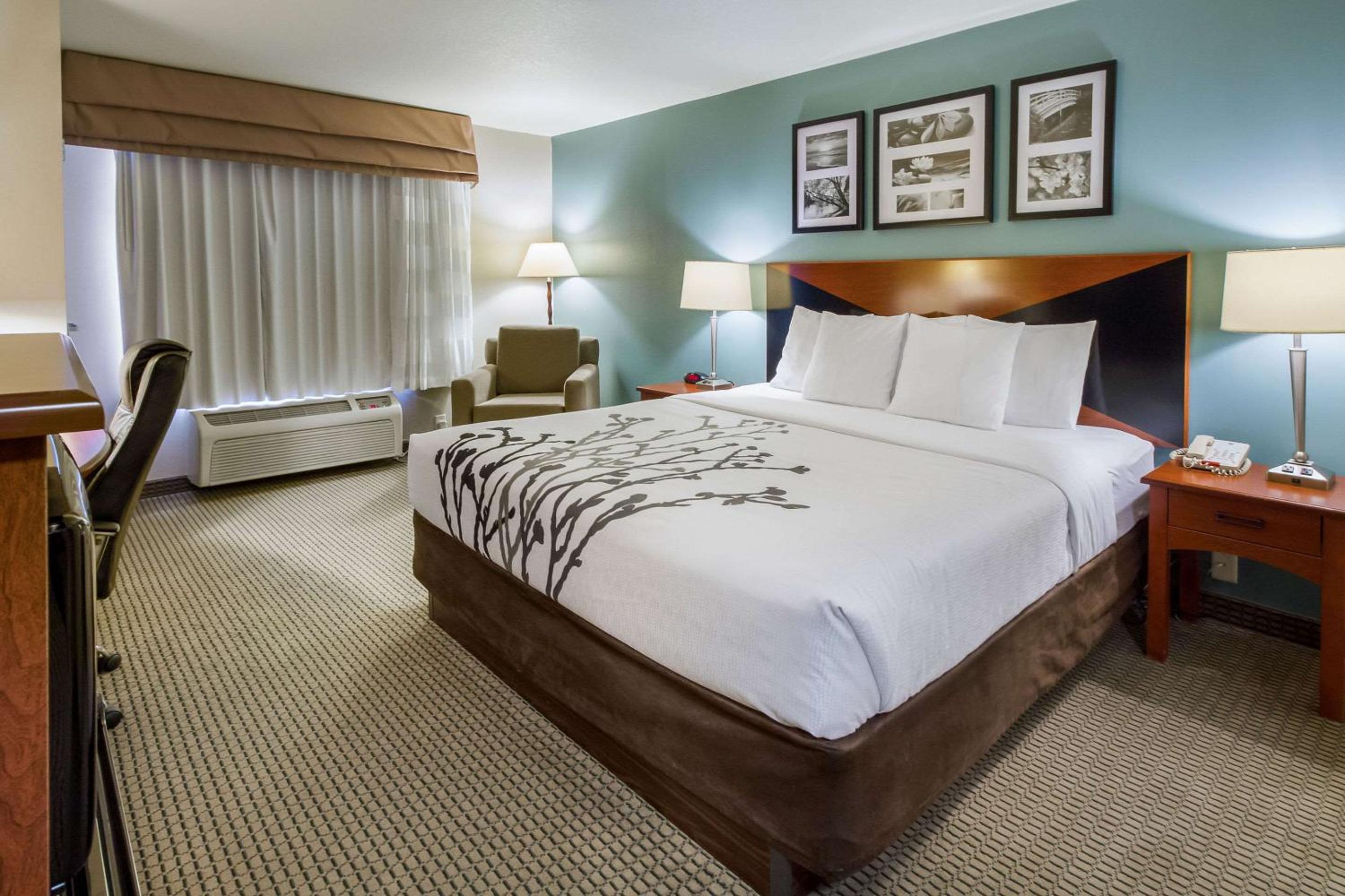 Deluxe King Room - Non-Smoking - Photo 3