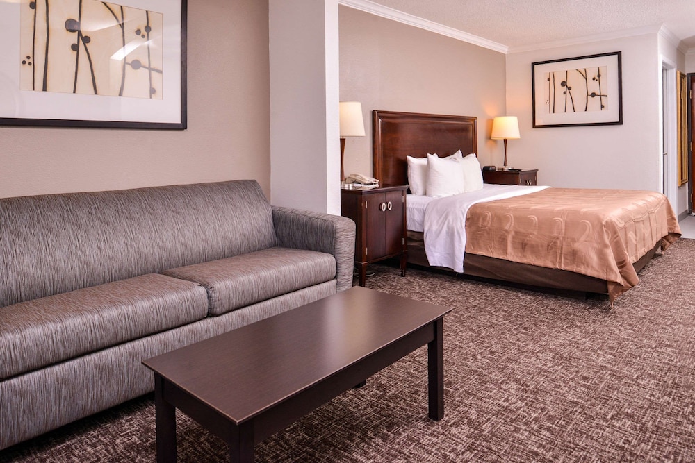 Suite, 1 King Bed, Non Smoking - Photo 6