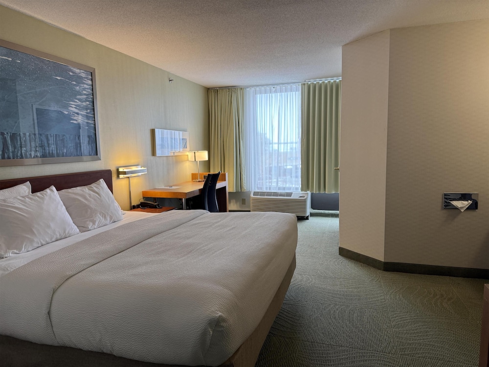Standard Room, 1 King Bed, Accessible, Refrigerator & Microwave (with Sofabed) - Photo 2