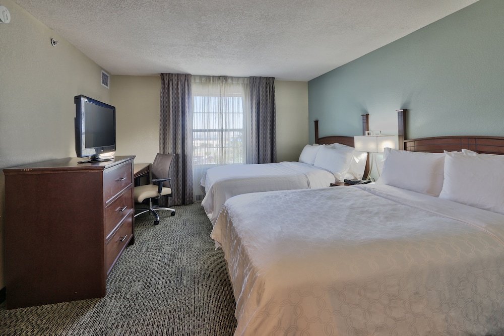 Suite, 2 Bedrooms, Kitchen photo 3