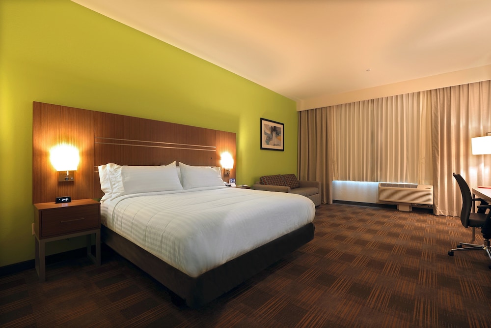 Room, 1 King Bed, Accessible, Non Smoking (Hearing, Transfer Shower) photo 3