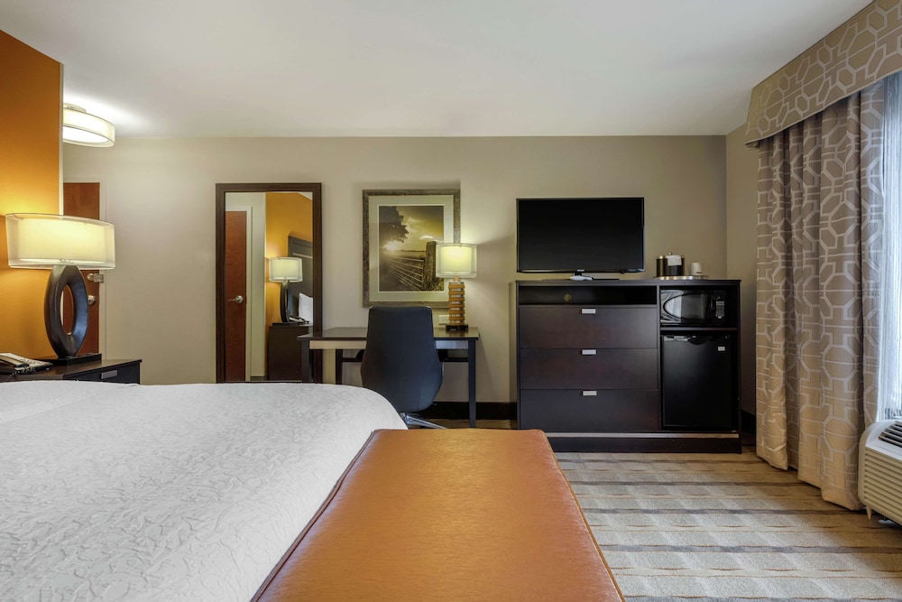 Room, 1 King Bed, Refrigerator
