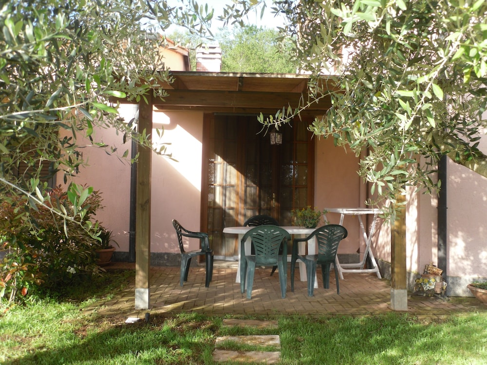 Apartment, 1 Bedroom, Kitchen, Garden Area photo 3