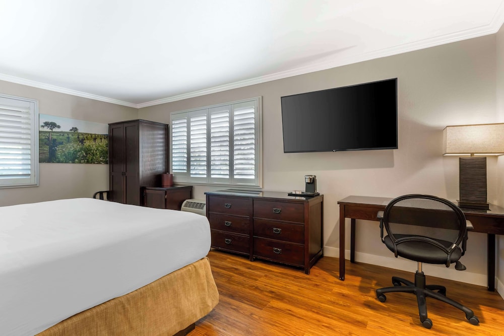 Standard Room, 1 King Bed, Non Smoking, Refrigerator photo 3